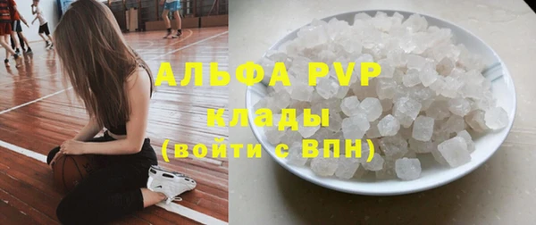 PSILOCYBIN Заволжье