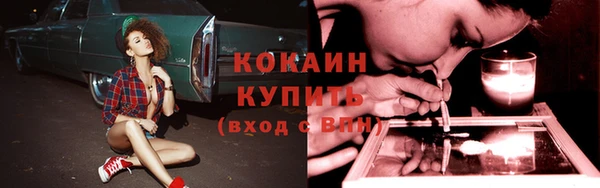 PSILOCYBIN Заволжье