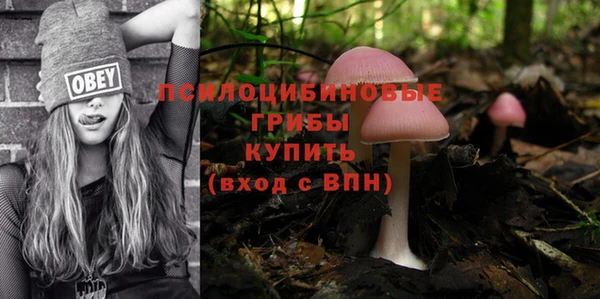 прущая мука Заводоуковск