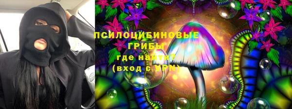 PSILOCYBIN Заволжье