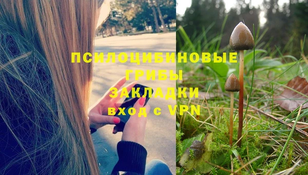 прущая мука Заводоуковск