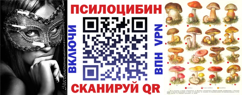 Купить закладки  Волжский  Псилоцибиновые грибы мицелий 